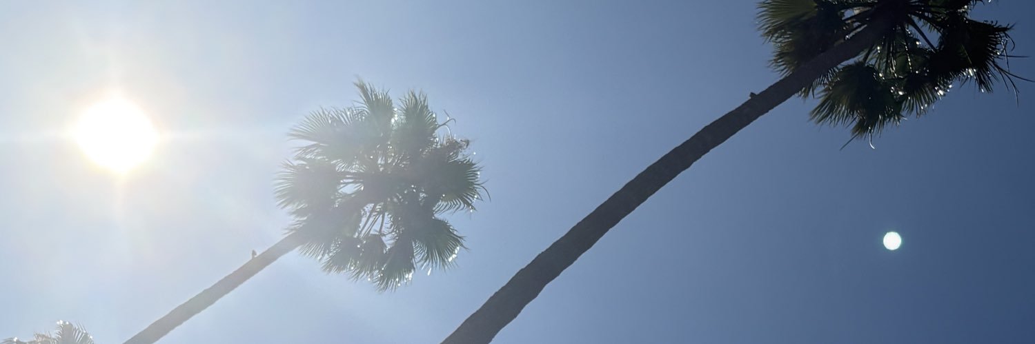 Jini Jane's banner