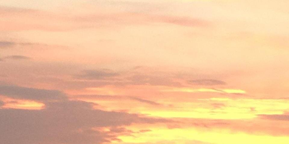 Erica Brummel banner