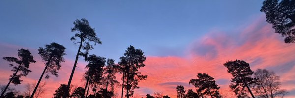 jerrmag Profile Banner