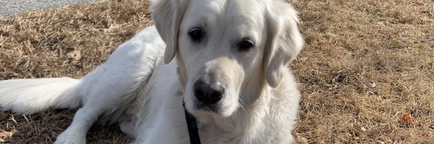 Tifwetherbee's profile banner image