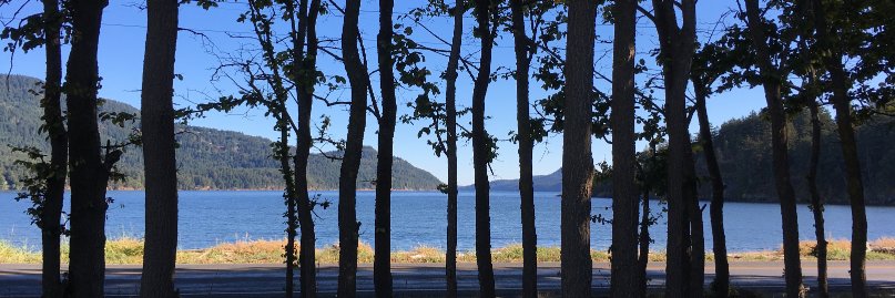 NNnr111's profile banner image