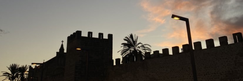 sofimorenot's profile banner image