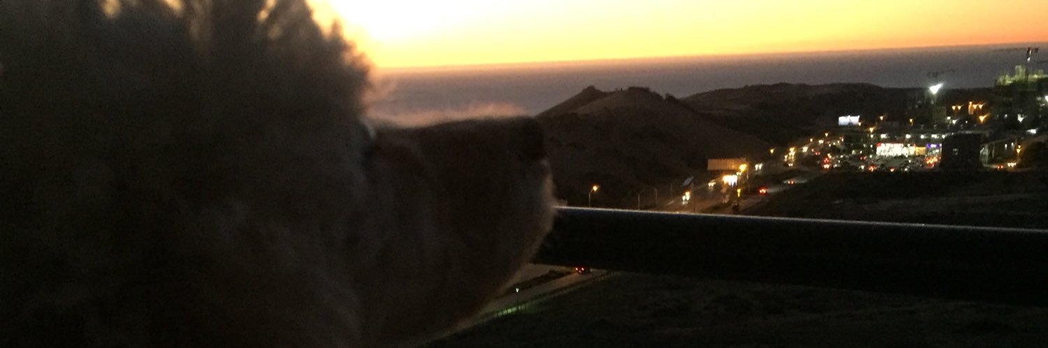 flakamelo's profile banner image