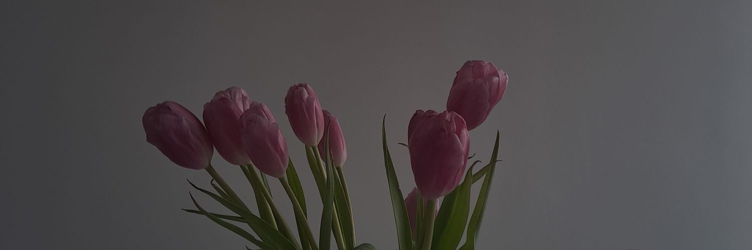 marisss banner