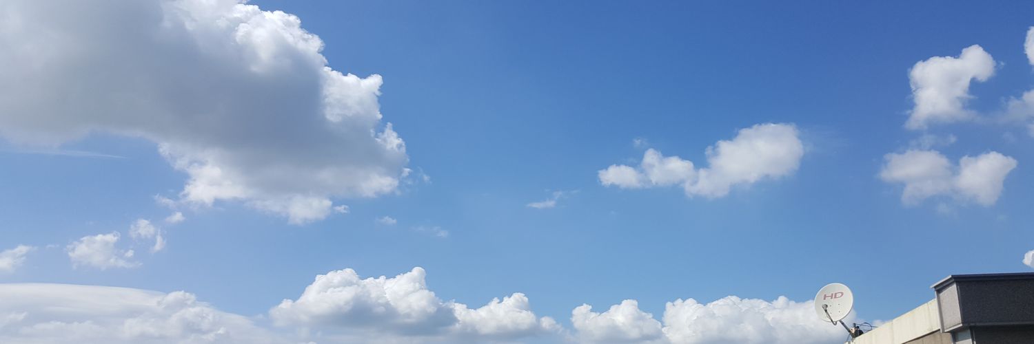청포도에이드🍇 banner