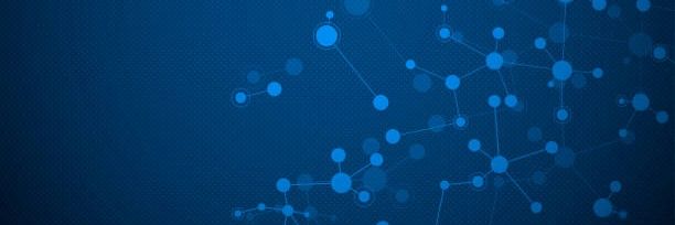 Venetia Voutsa banner