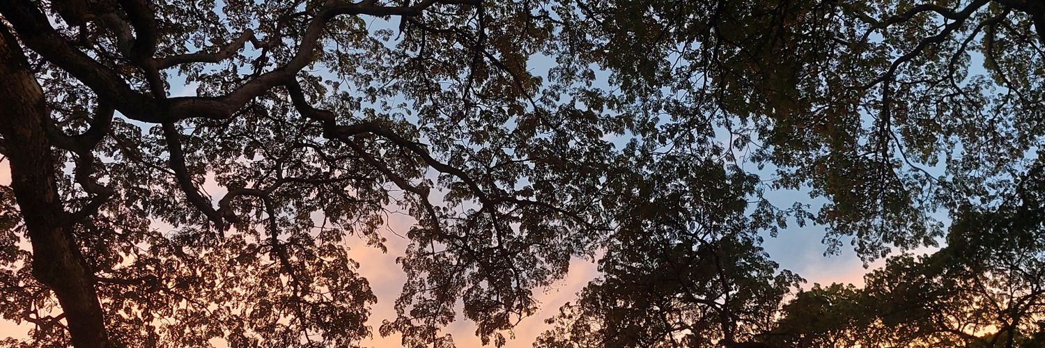 itscelestialll's profile banner image