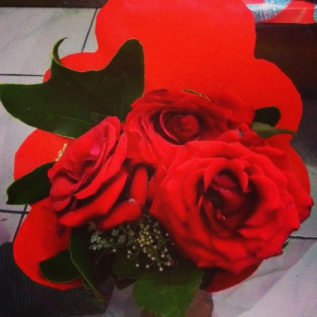 rentialamanda's profile banner image