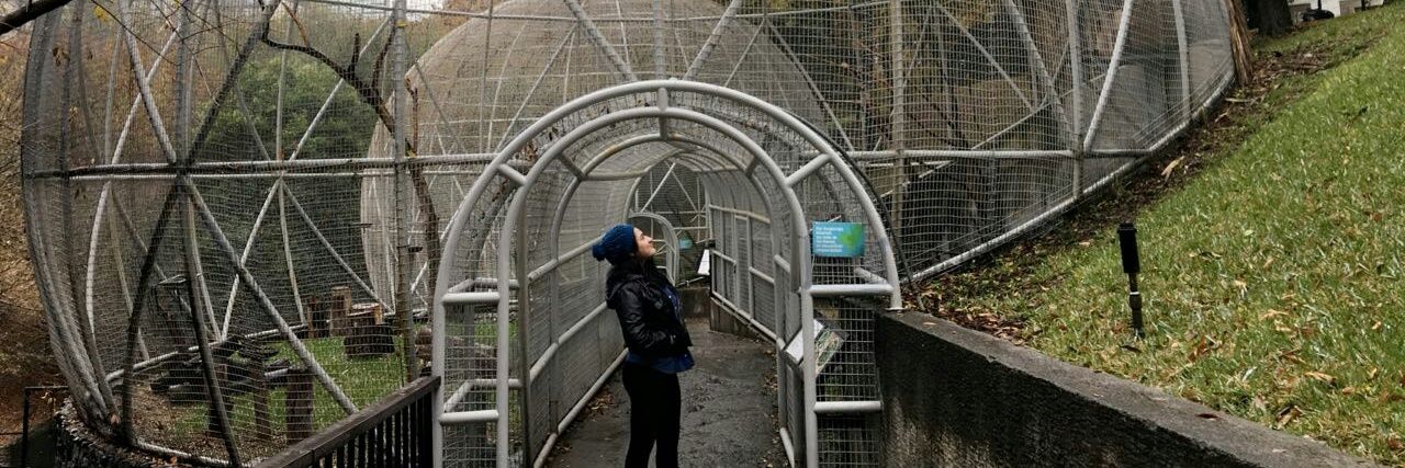 Michi Treviño banner