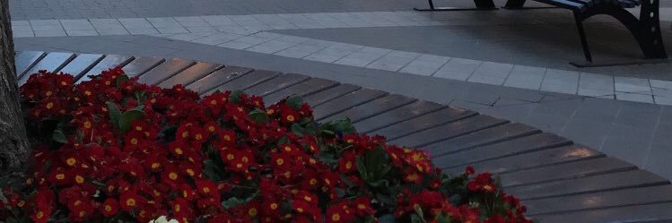 Thamer_209's profile banner image
