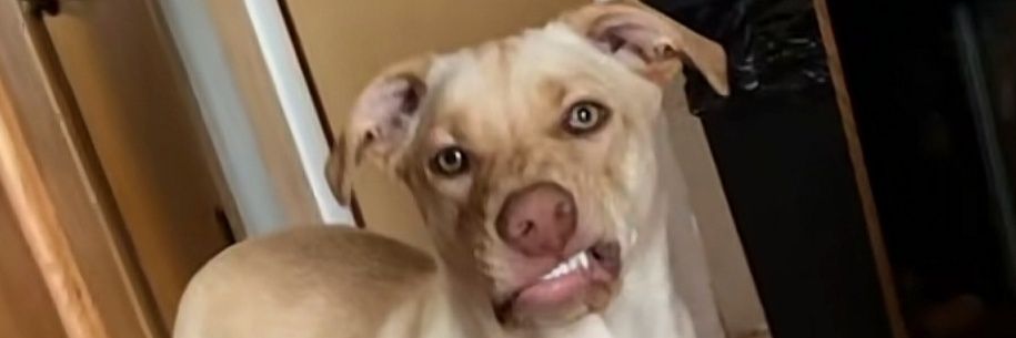 WhyYouSo___'s profile banner image