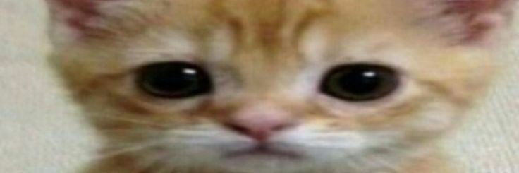 dom3afavour's profile banner image