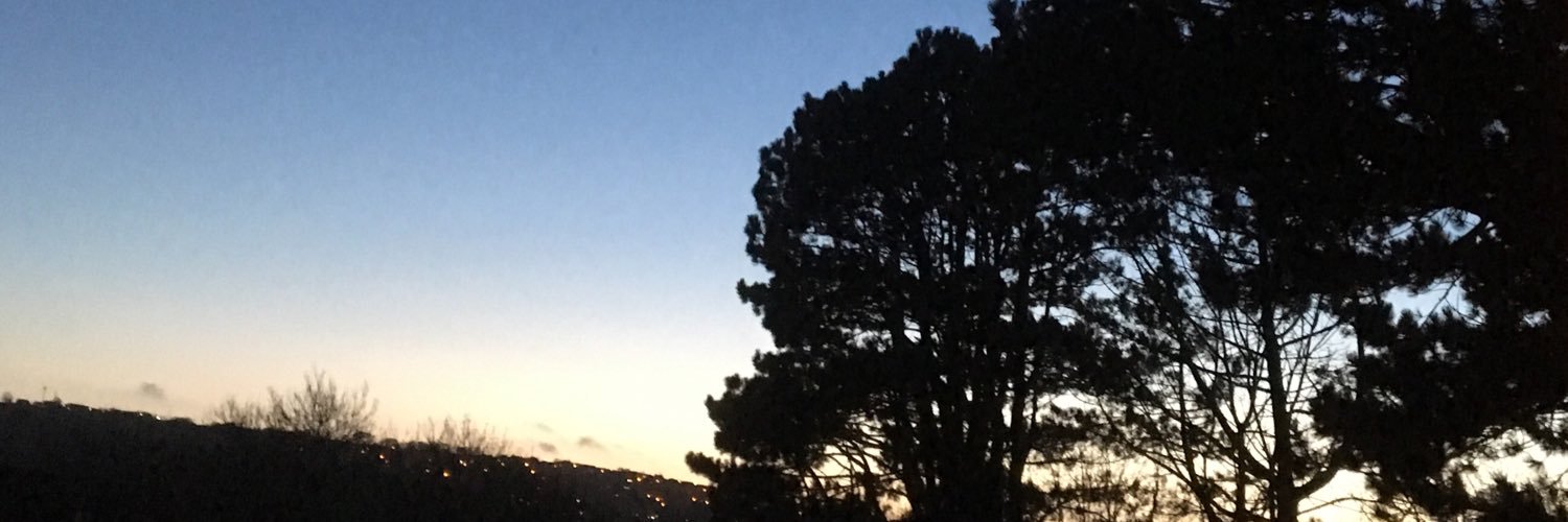 mummypeas's profile banner image