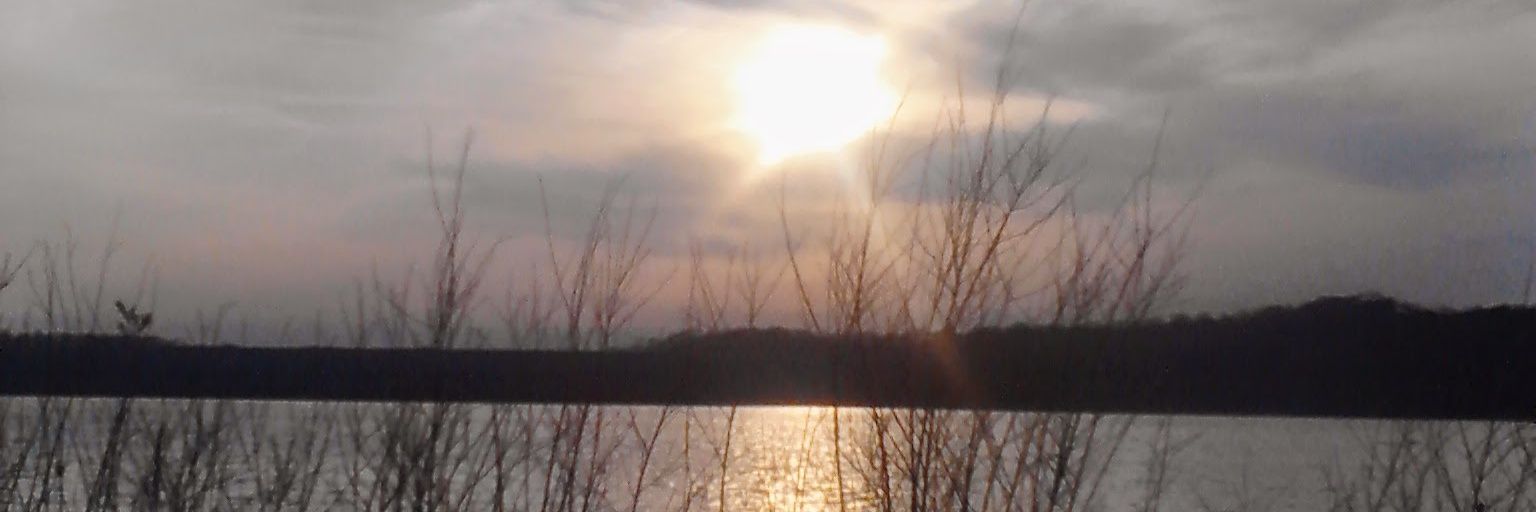 tweetbud's profile banner image