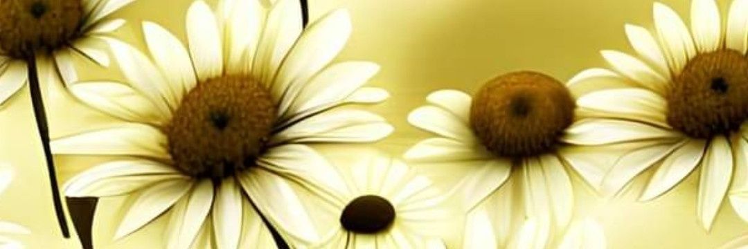 nuuzbee's profile banner image