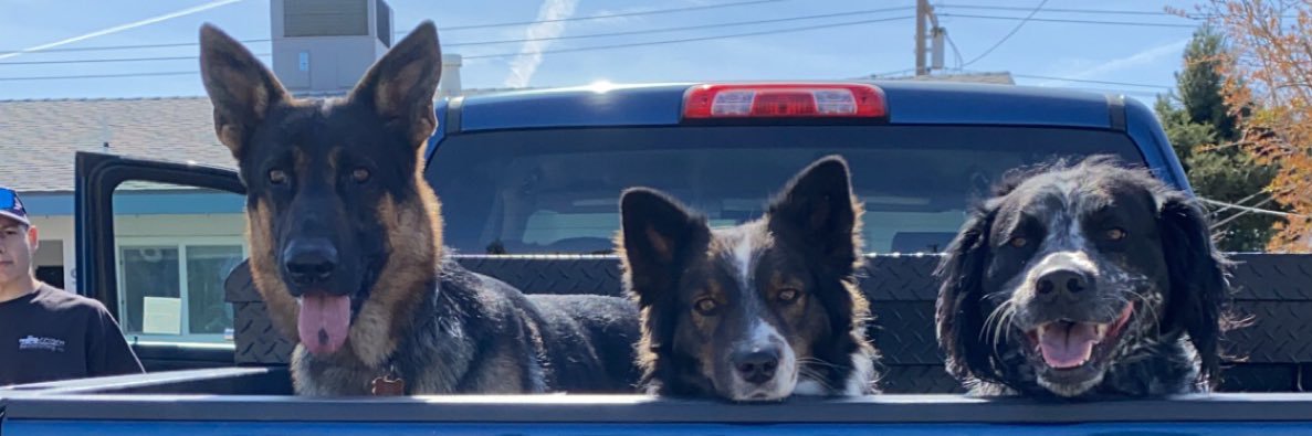 destiny_finch's profile banner image