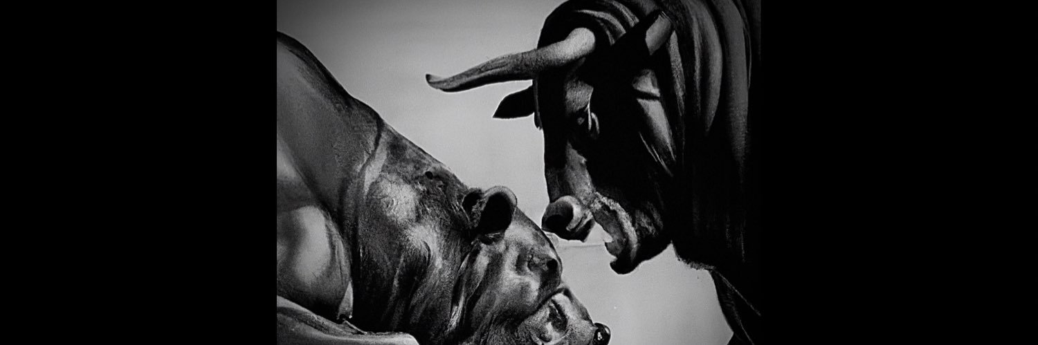 CryptoBllTrding's profile banner image