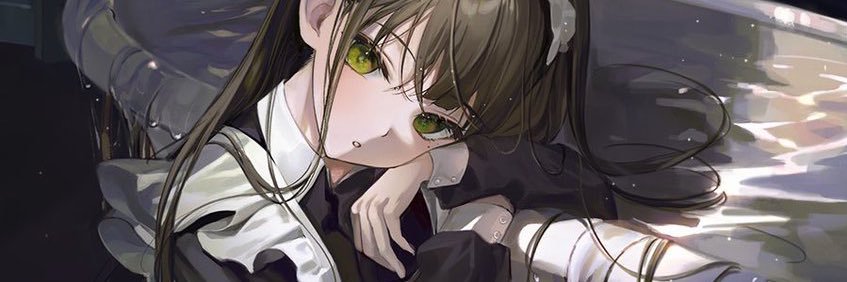 Reimu St. Laurent 🇸🇴 banner