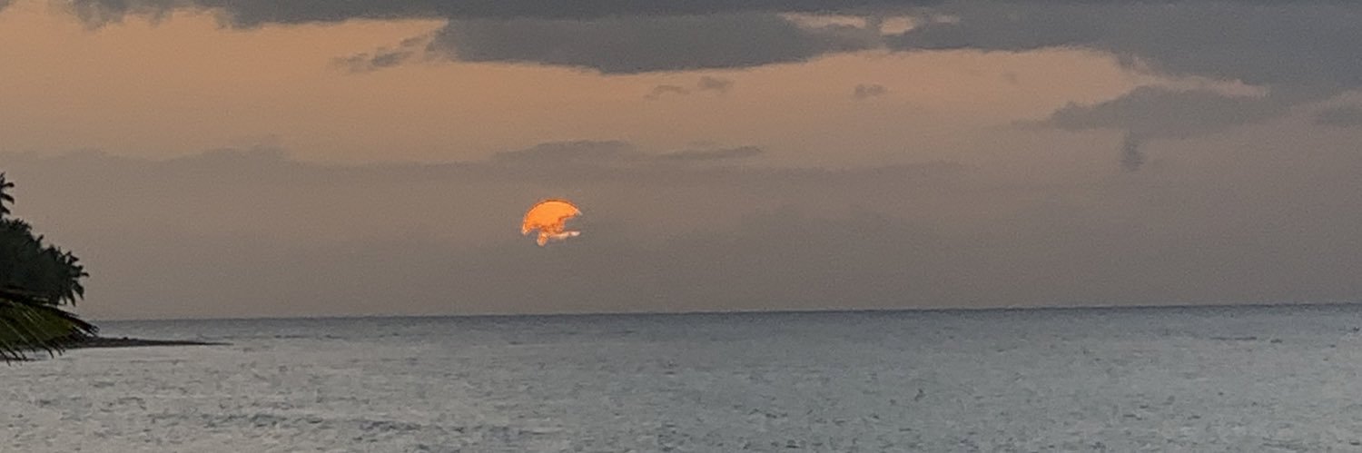 Meilyn Eda Mercedes Almonte Mejía banner