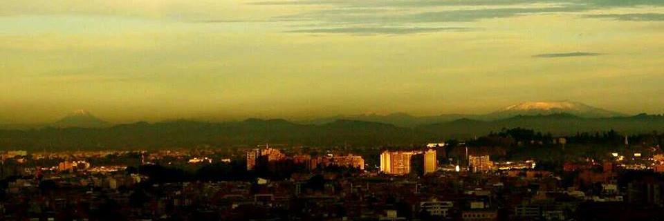 patrona_light's profile banner image
