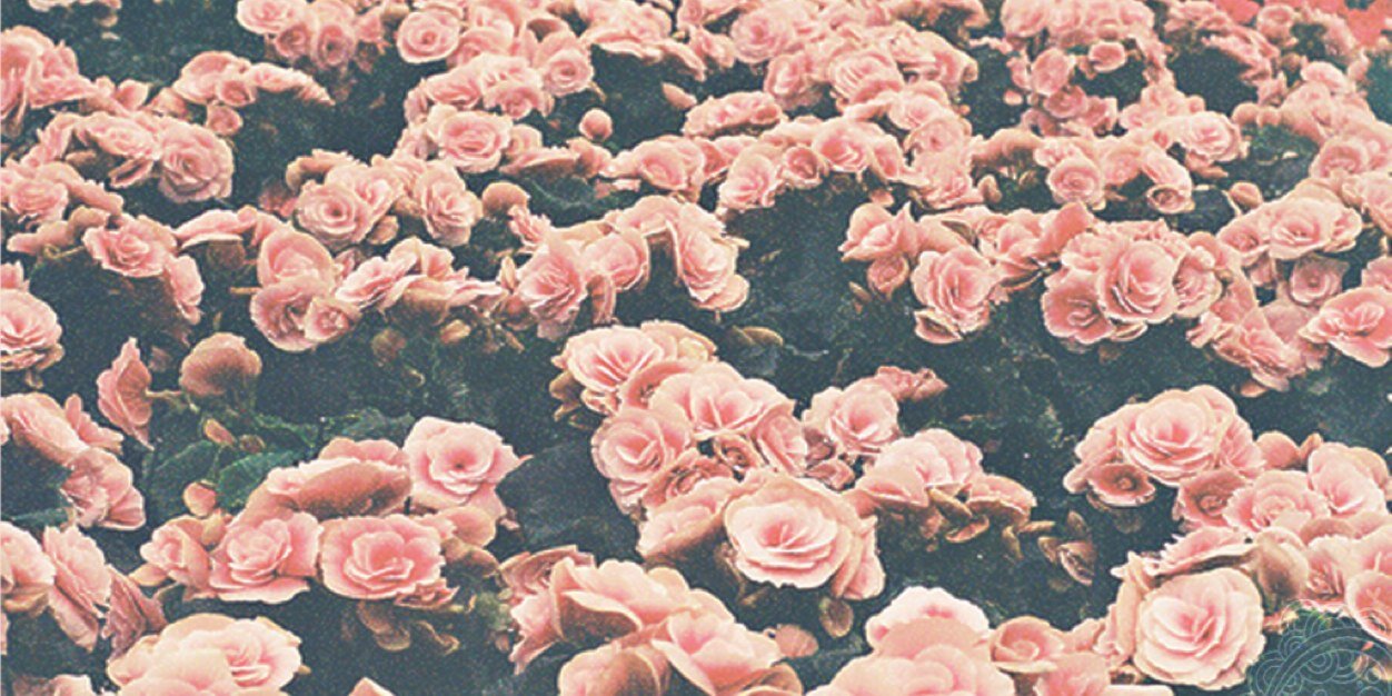 alyathaya's profile banner image