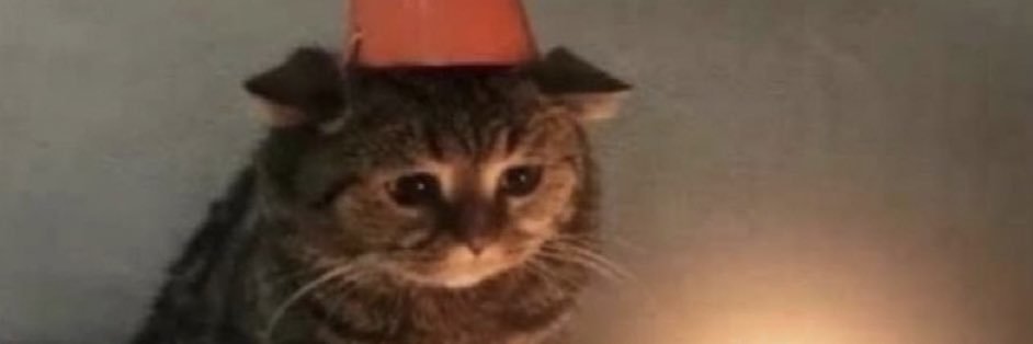 SendMeFeetPicz's profile banner image