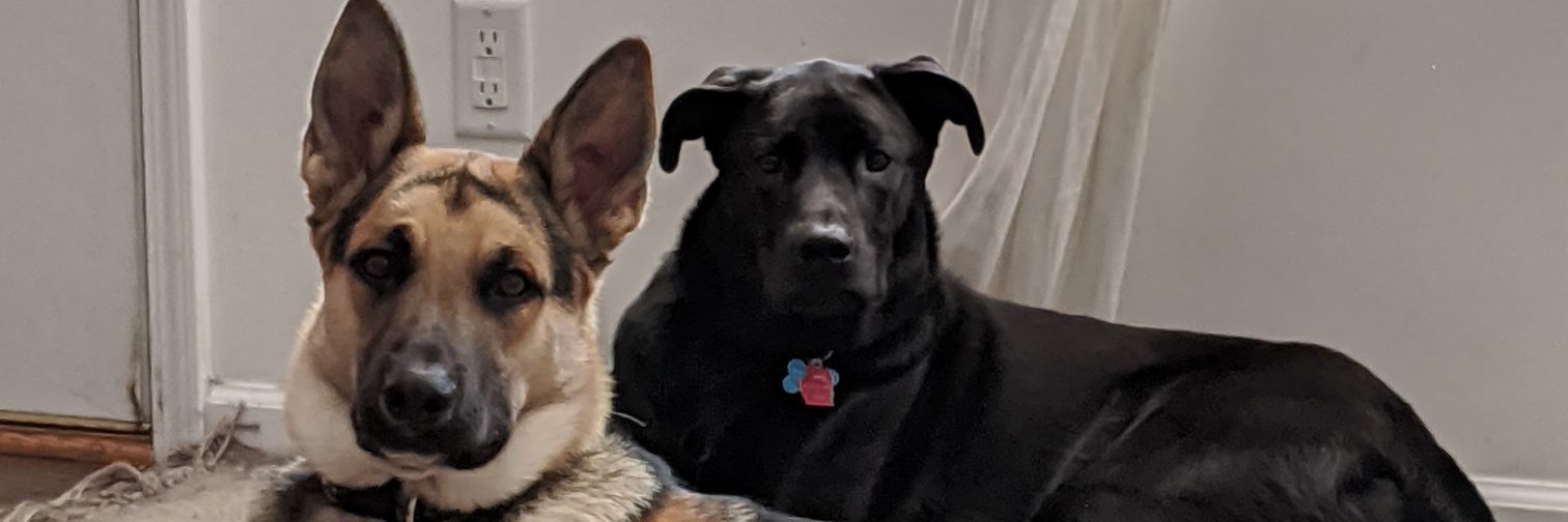 trvstnhff's profile banner image