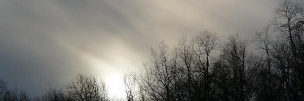 GVirus16 Profile Banner