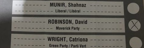 David Robinson banner