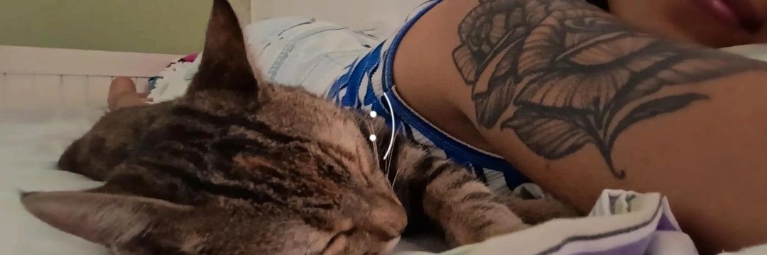asheeal's profile banner image