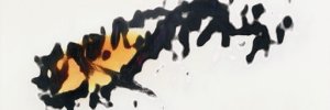 detarenegia's profile banner image