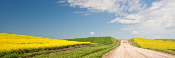sasktoday Profile Banner