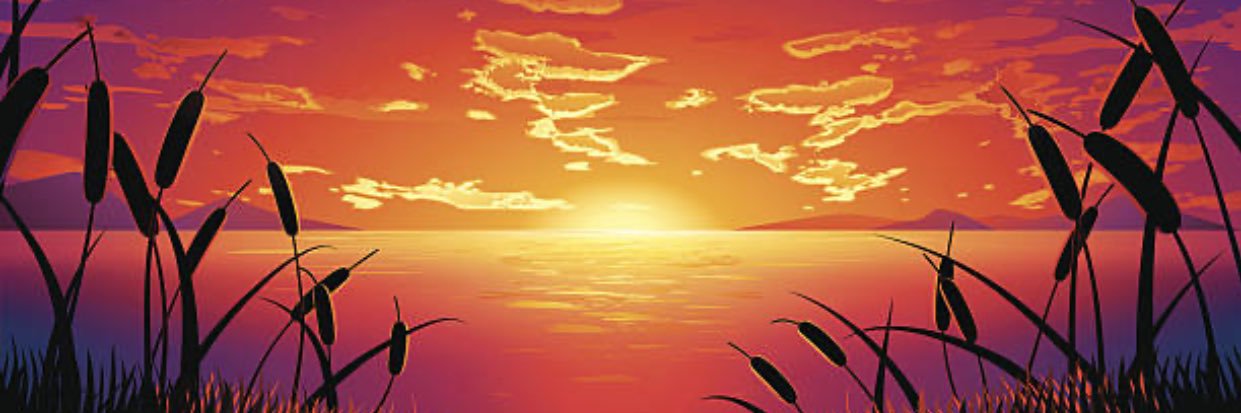 N. Miller banner