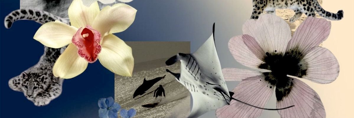 isawfuturewyou banner