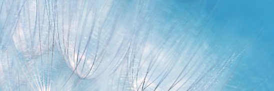 Michell37418355's profile banner image