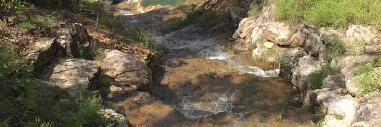 zchism13's profile banner image