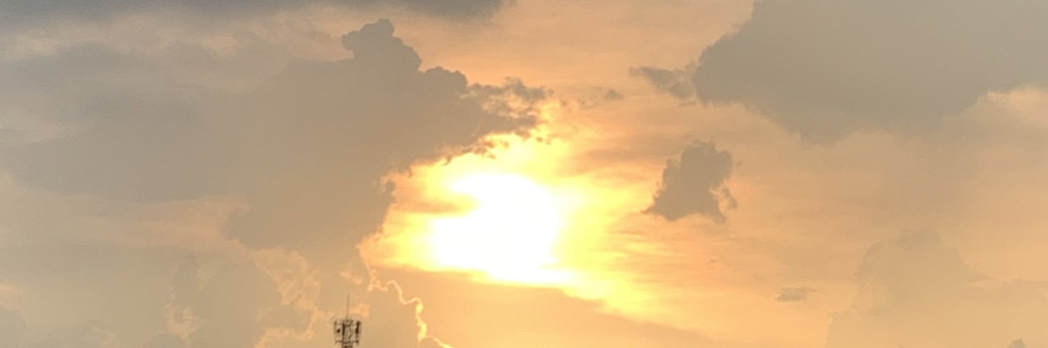PP mustard banner