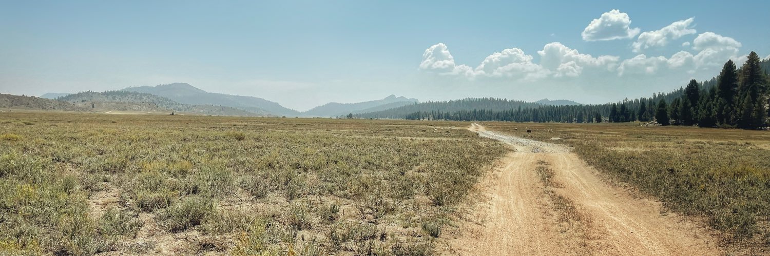 vonfogel's profile banner image