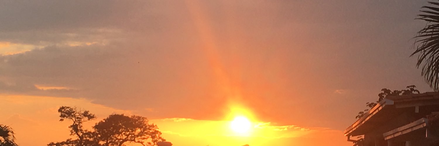 DarwinADD's profile banner image