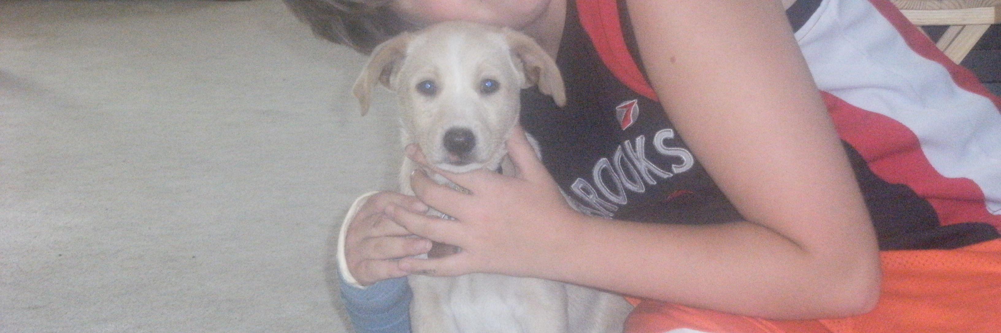 Rattle Chains banner