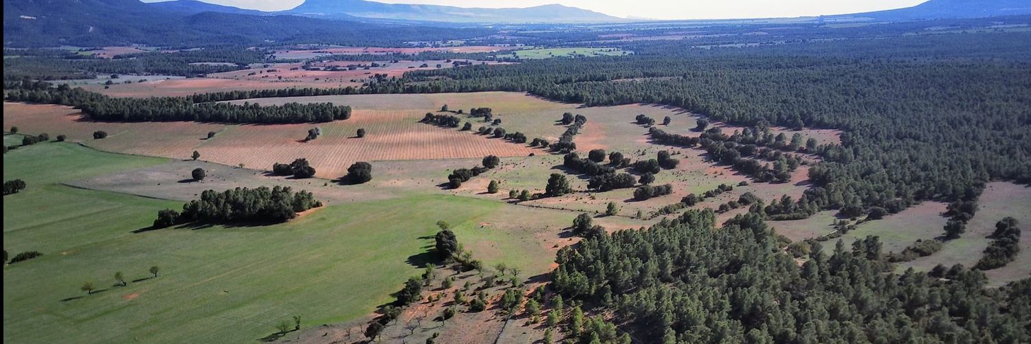 RenovablesSIperoNOasi banner