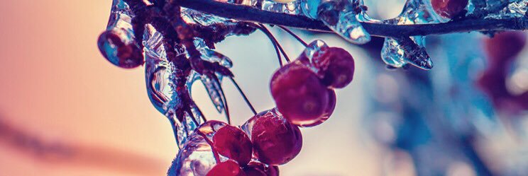 Bailey_K83's profile banner image