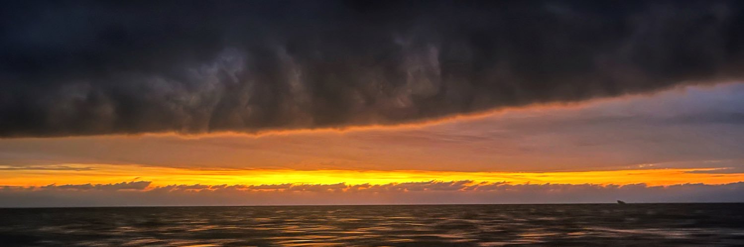 ncolio's profile banner image