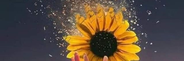 SunFlowerHeavy's profile banner image
