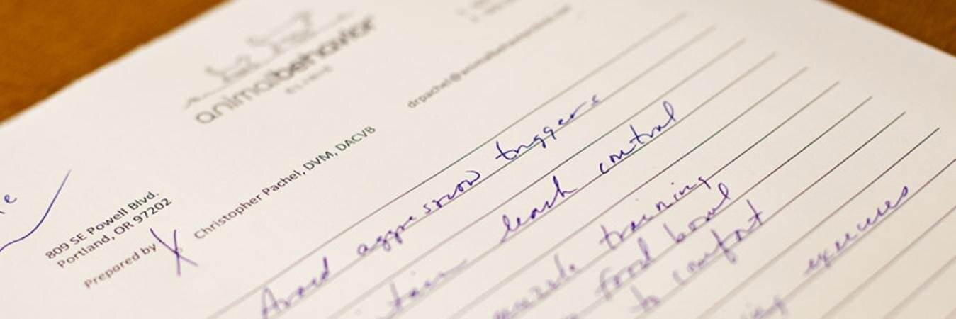 AnimalBehaviorClinic banner