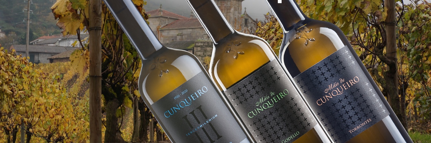 _cunqueiro's profile banner image