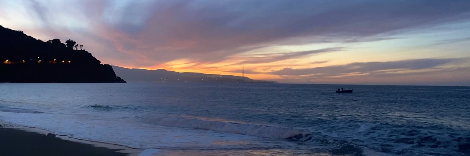 Igor Fronio banner