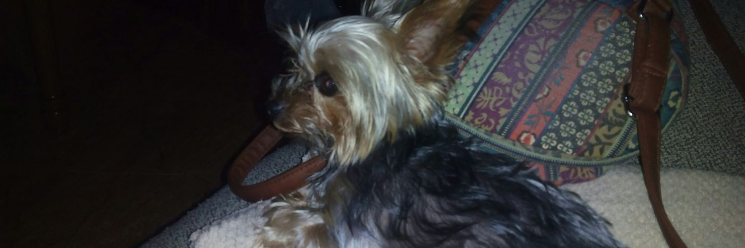 carolin650's profile banner image