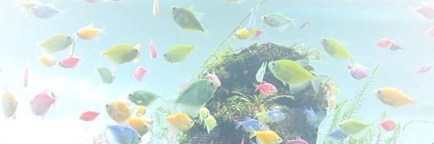 nomnom banner