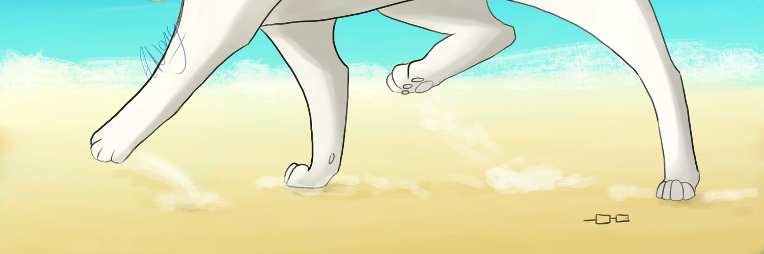 Anomyna banner